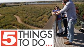 5 things to do in McHenry County: Kick off fall season with a corn maze