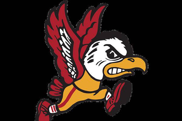 Jack Quil helps Benet to Naperville Central regional title