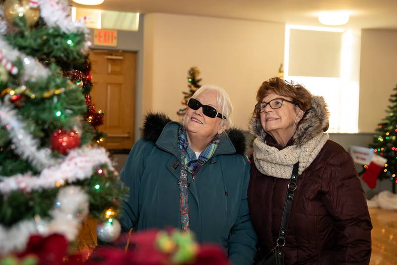 Lockport residents Cindy Sellers and Ruthann Lenon admire a tree display, designed by Festival of the Trees curator Steve Drafke, at Gladys Fox Museum during Christmas in the Square in Lockport on Saturday, Nov. 25, 2023.