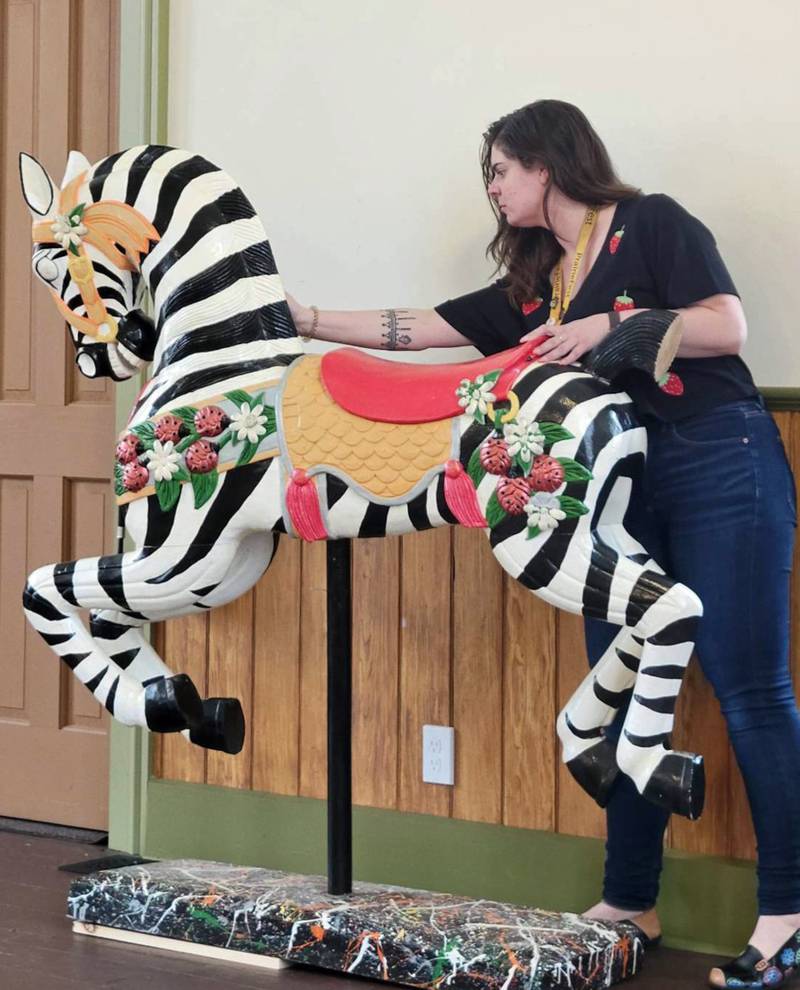 Little White School Museum Manager Anne Jordan makes some last minute adjustments to a carousel zebra, part of the museum’s latest seasonal exhibit, “Oswego’s  Curious Collections.”