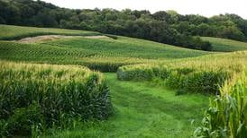 Farmers can now enroll in Grassland Conservation Reserve Program: FSA   