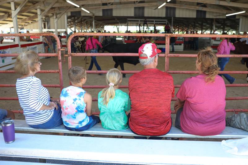 A family watches the steer judging at the Grundy County 4-H Fair on Sunday, July 30 in Morris.