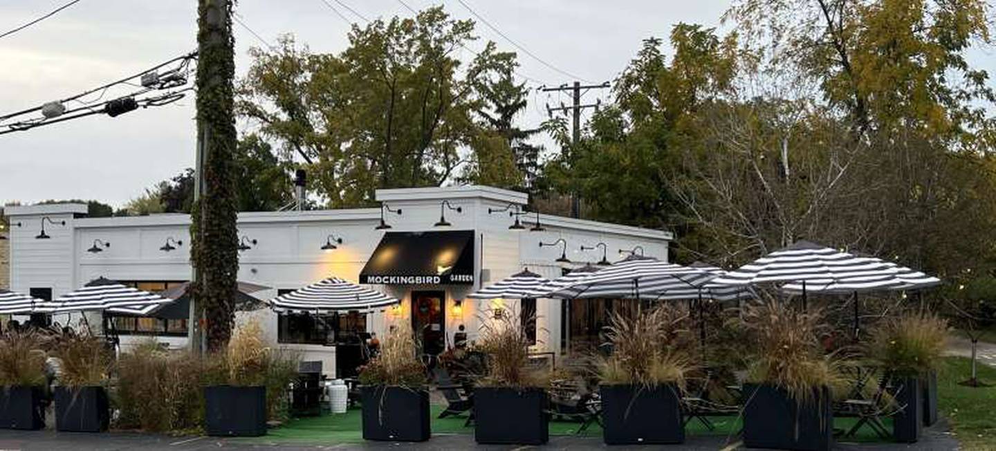 Mockingbird Bar + Garden is planning an expansion after seven years in East Dundee.