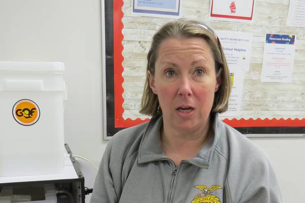 Amboy ag teacher hatching knowledge