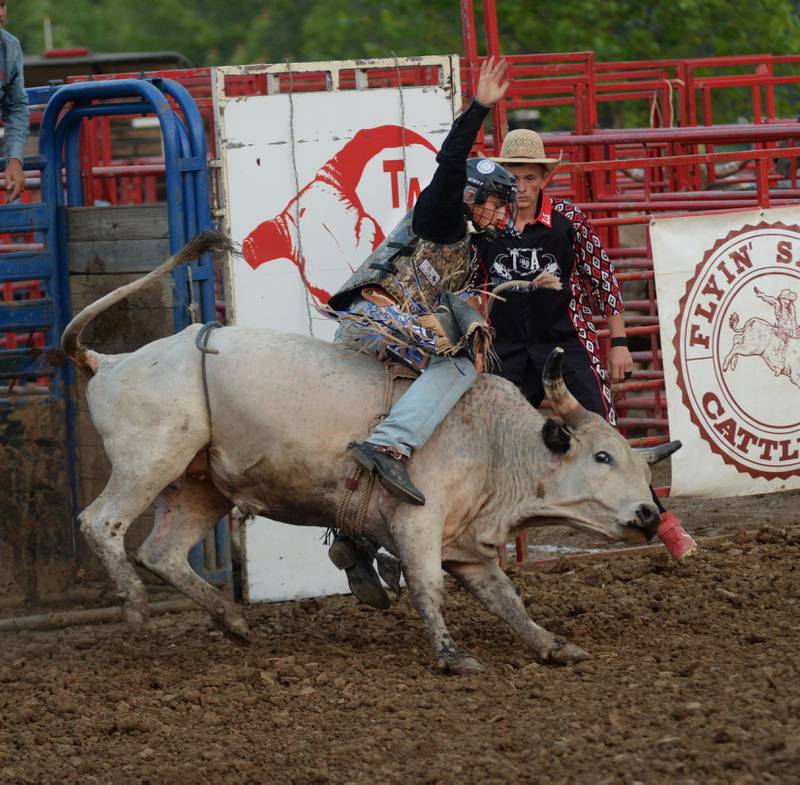 Wes Story tries to stay on Casper in one of the bull riding divisions at the T & A Bucking Bulls Rodeo held at the Ogle County Fair on Friday, Aug. 1, 2025 in Oregon