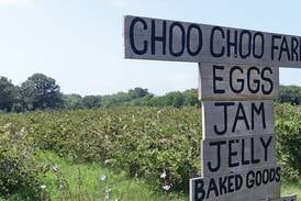 Pick your own berries at Choo Choo Farms in the Illinois Valley 