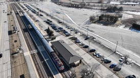 ‘Positive signs of movement’: Bears bill set for first hearing in Springfield this week