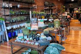 Garden’s Gate in Ottawa changes hands, New owner plans relocation