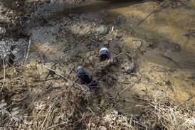 Shutter to Think: He chose poorly