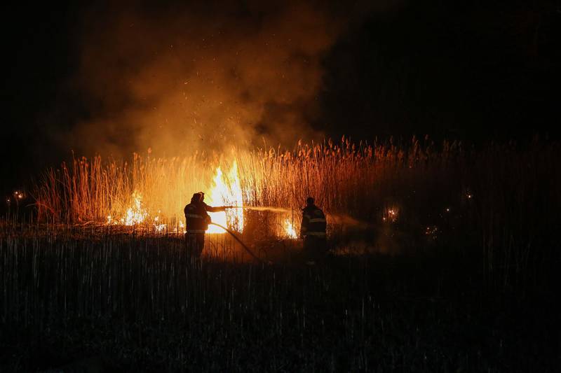 Multiple acres of land were burned in a brush fire Tuesday, March 4, 2025 near McHenry.