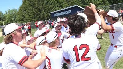 Baseball: Hall looks to punch its ticket back to State
