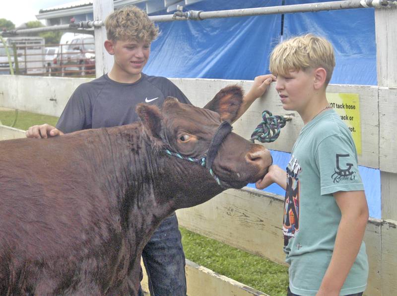 Mark and Scott Pritchard of Maple Park give their animal some water at the fair. Fair action at the Lee County Fair concluded with events Sunday, July 27, 2025.