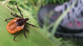 Ticks season is here and they are on the rise in northern Illinois