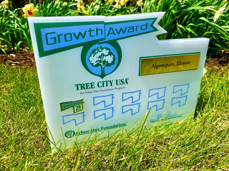 Algonquin named Tree City USA for 26th consecutive year Shaw Local