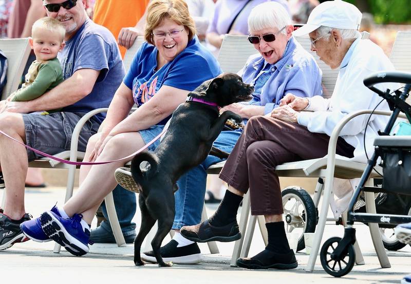 Linda Bickett and Nancy Bickett, residents of Greenfield Retirement Home in Princeton, are entertained by Enzo during the Paws on Park Avenue parade on Saturday, May 31.