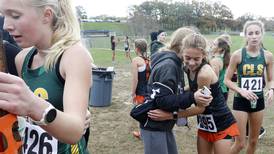 Photos: Girls Class 2A Woodstock North Sectional
