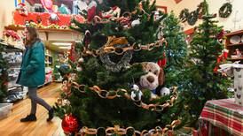 Festive fundraiser: Momence Christmas store benefits cats, dogs of RVAR