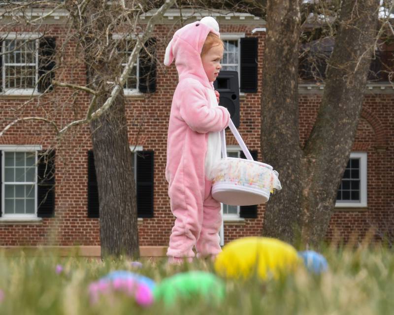 Ryen Behn, 3, of Warrenville collects Easter Eggs during the Easter Egg Hunt event held at Cantigny Park in Wheaton on Sunday March 24, 2024.