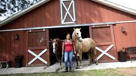 Campton Hills residents fret about zoning update’s impact on their horses, chickens