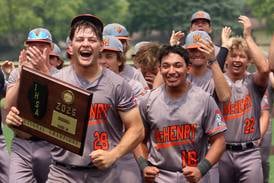 Hot-hitting Landon Clements leads McHenry to back-to-back sectional titles