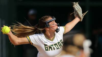High school softball: 20 area players named to Illinois Coaches Association All-State softball team