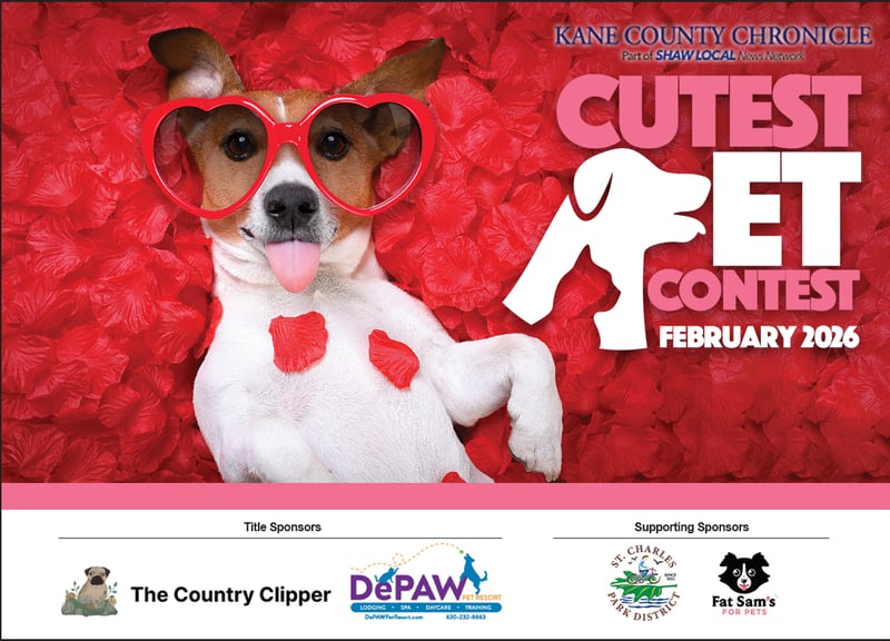 Kane February Cutest Pet