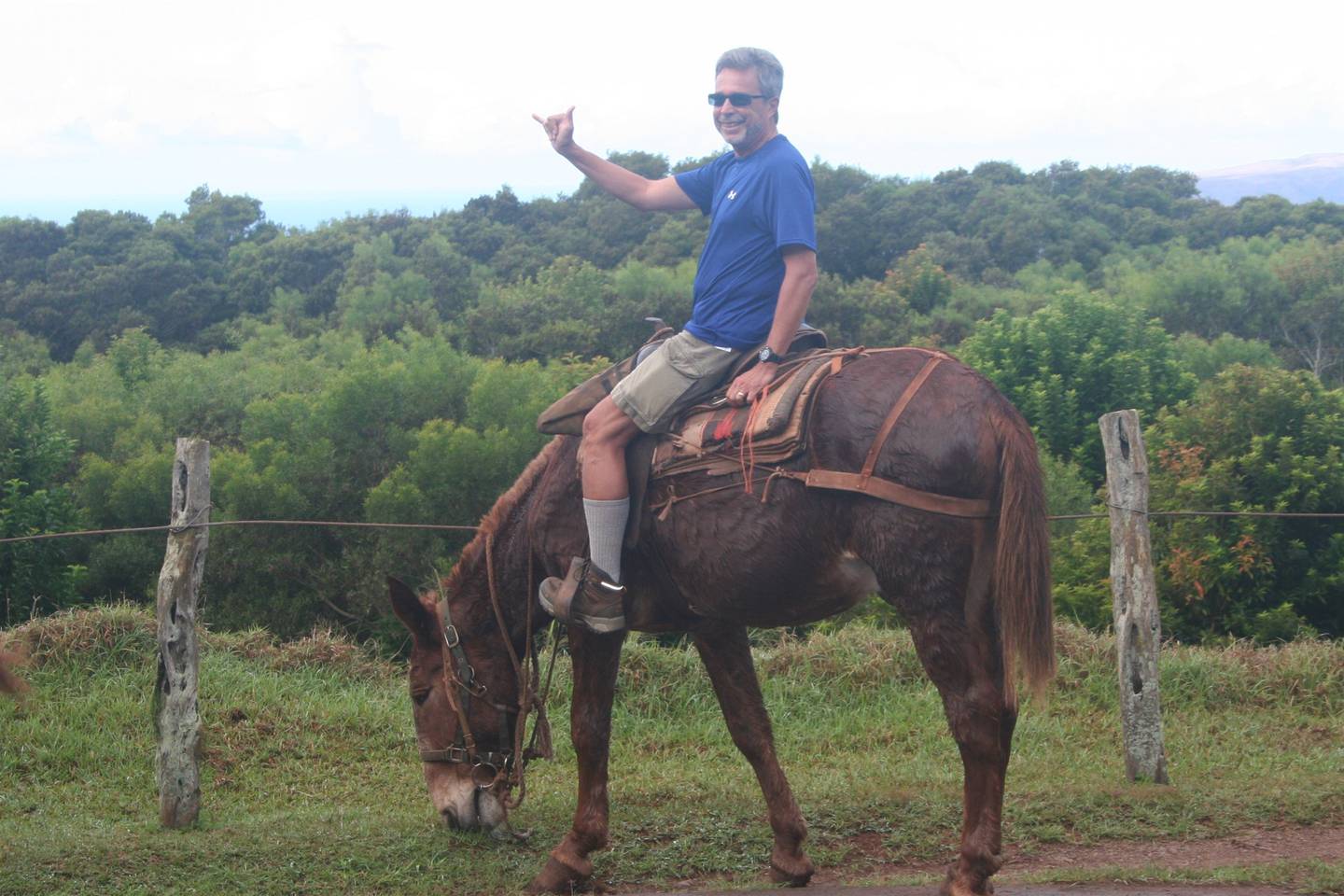 Michael Mucci takes mule ride on Molokai down to Kalaupapa (the former colony where patients with leprosy were confined) in 2013.