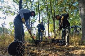 Forest Preserves hiring for temporary positions