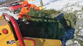 Annual Christmas tree disposal set Jan. 31 at Riordan Pool in Ottawa