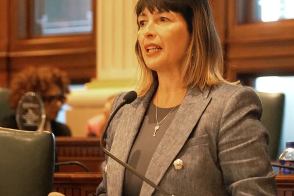 Latin American history, pet custody bills advance in Springfield ahead of deadline