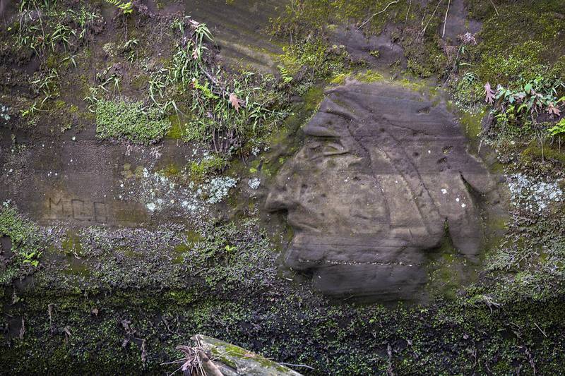 Rick Bartlett discovered the Indian Head carving hidden under decades of moss in the summer of 2024.