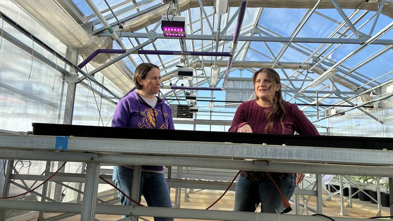 Emily Zack and Andrea Andrea Collier check out seedlings in the McHenry County College greenhouse on Thursday, Jan. 29, 2026. They organize The Great Seed Event,  set for  Feb. 7 at the MCC cafeteria. More than 1,000 people are expected at the event, where gardeners will swap seeds and learn about composting, urban gardening and pocket prairies.