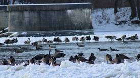 Outlook cites spring flood risk along Mississippi River, less along Rock River