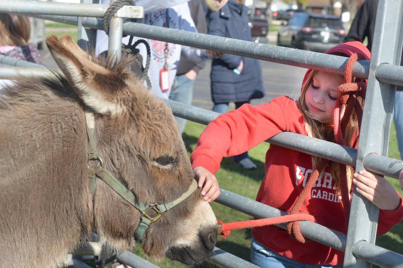 Addison Wilken, a first grade student at Forreston Grade School, pets a donkey at the Forreston FFA's Ag Day on Friday, April 12, 2024. In addition to the petting zoo, the event included farm tractors, and lessons from Forreston High School  FFA members.