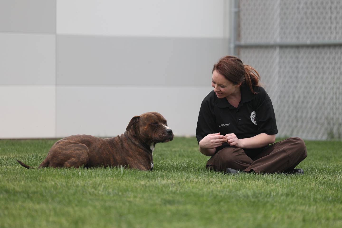 Animal Control Officer Michelle Sergott plays with Bentley, a pitfall mix, in the outdoor area for the animals at the Will County Animal Control Department on Friday, May 19, 2023 in Joliet.