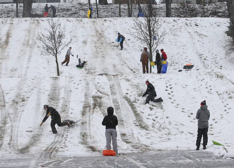 Kids sled down a hill at Allen Park on Tuesday, Jan. 9, 2024 in Ottawa.