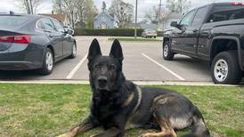 Crystal Lake Police Department mourns K-9 Zeus 