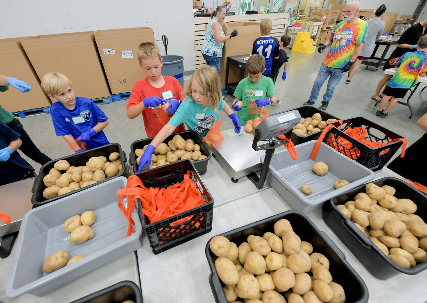 Sean Peterson and his friends sort, bag and weight potatoes during his 9th birthday party at the Northern Illinois Food Bank in Geneva on Tuesday, September 5, 2023.