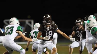 16 Joliet-area teams still in the chase for playoff berths
