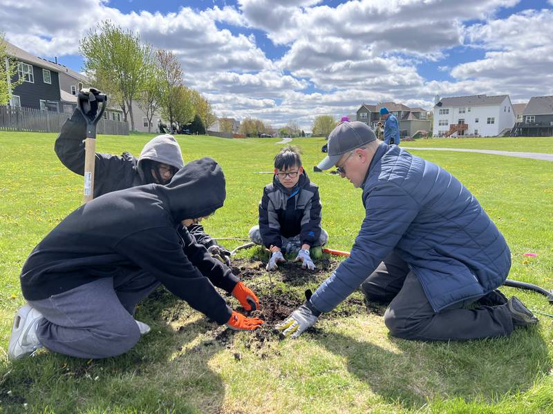 The Oswegoland Park District, Illinois 4-H, Kendall County Soil and Water Conservation District and volunteers came together Saturday, April 20, to plant 25 new oak trees in Oswego as part of the 4-H Green Communities Program.