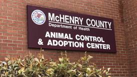 3 lost goats found in Marengo, taken in by county animal control