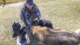 Sauk Valley Views: Photos of the Week for March 19-26, 2026