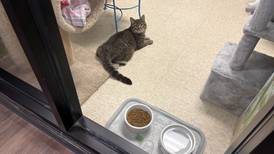 McHenry County Department of Health refurbishes, reopens Crystal Lake clinic, animal control HQ