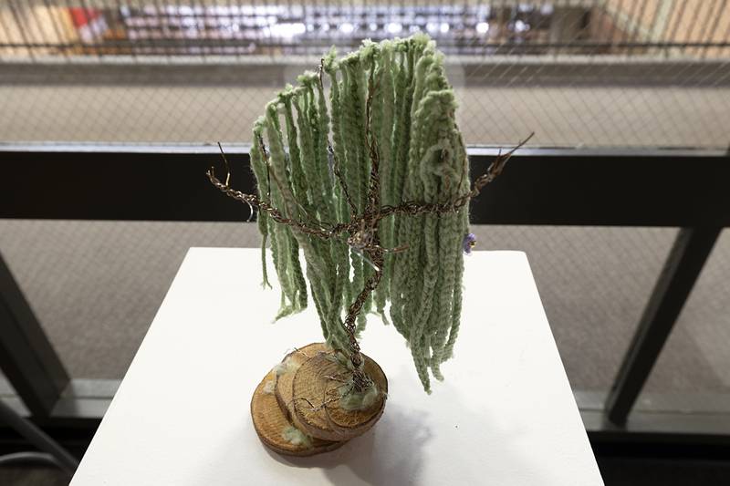 Both 2D and 3D works were submitted in the exhibit Thursday, April 9, 2026, at SVCC.