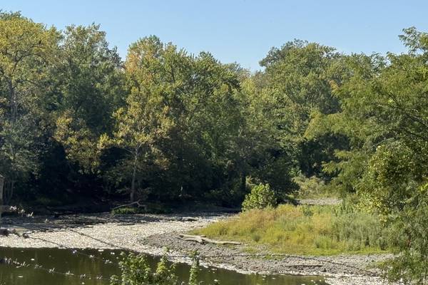 Thousands of dead fish wash up near Streator dam