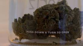 7 years after legalization, final recreational marijuana licensing lawsuit goes to court