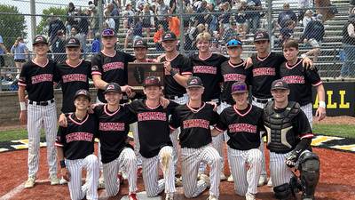 Fulton baseball wins first sectional title since 2015