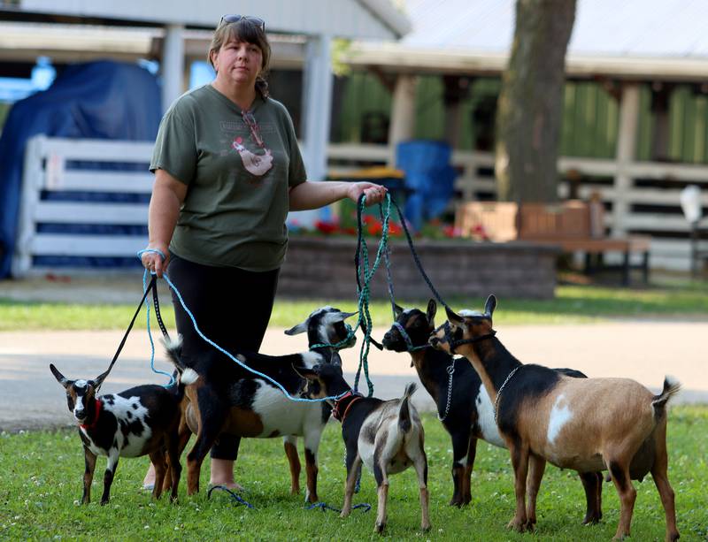 Nichole Vallaro of Earlville corrals some of her daughter’s nine goats as they show the animals at the McHenry County Fair in Woodstock on Tuesday.