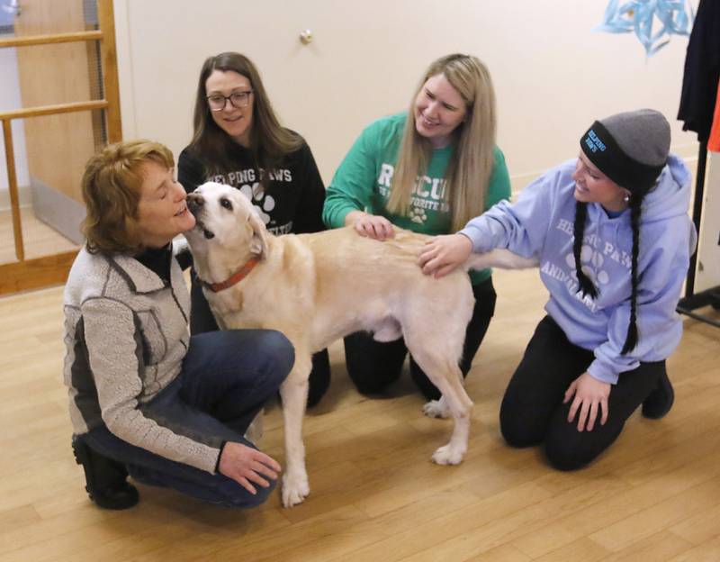 Local filmmaker Gail Gilbert with Scout as she visits with the staff of Helping Paws Animal Shelter on Wednesday, Jan. 15, 2025, as she talks about her film "Puppy Love" that will be showing in Classic Cinema theaters in Fox Lake, Woodstock and Carpentersville. Scout is one of the dogs in the film.