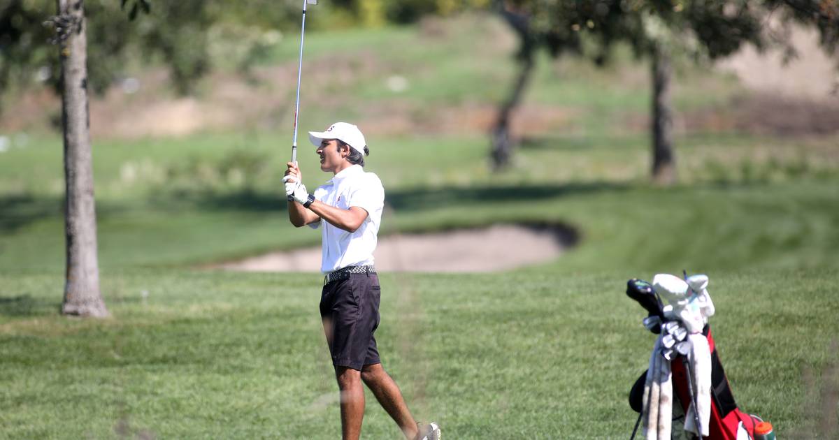 Boys golf Hinsdale Central rides depth to title at 3A Plainfield North